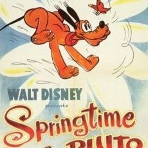 Meet your Posher, Marie-lynne